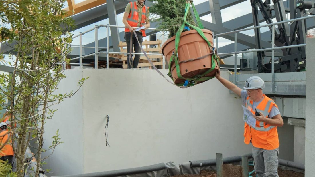 Juin 2022 - Pose de l'un des 29 arbres sur la coiffe