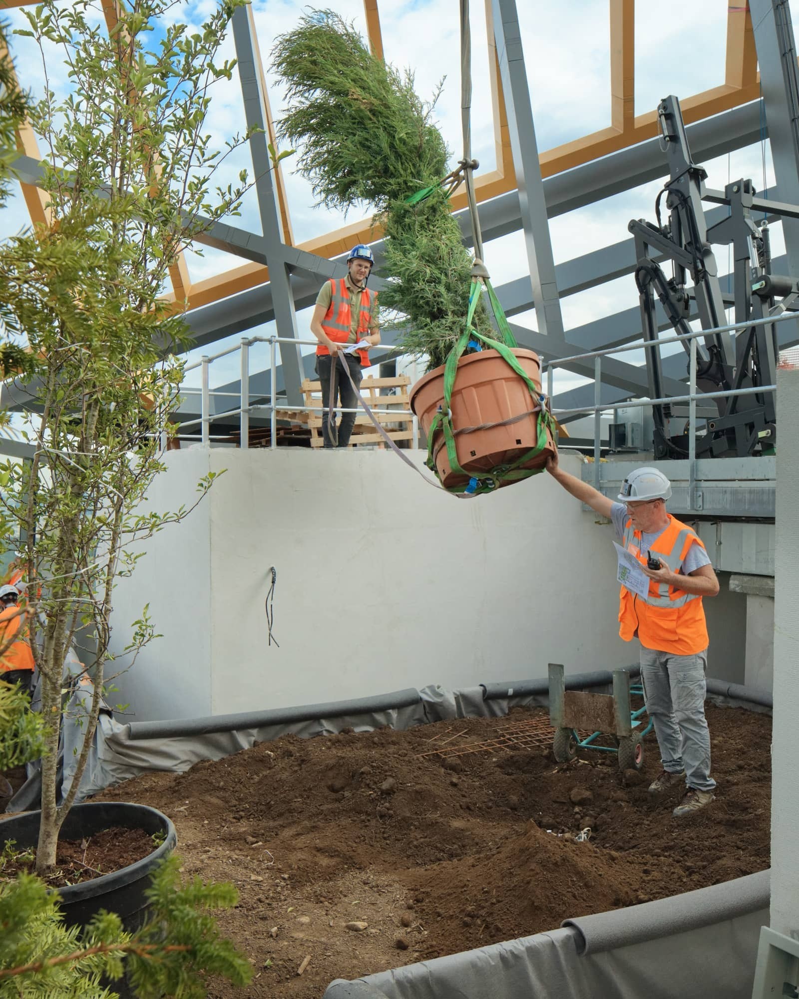 June 2022 - Placement of one of the 29 trees on the headdress